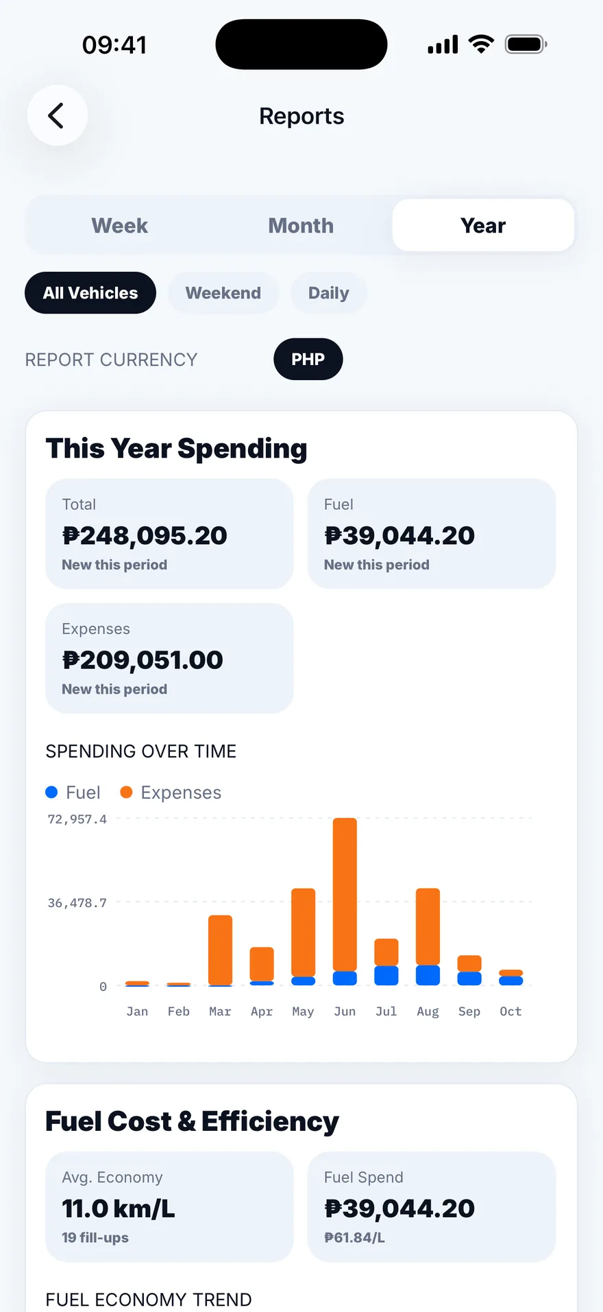 Reports for the year: total spending, fuel and expenses, and a monthly spending chart.